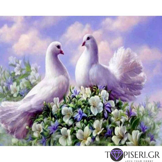 Painting By Numbers Doves - Tapiseri.GR