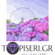 Painting By Numbers Viennese Wheel - Tapiseri.GR