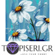 Painting By Numbers Daisies In Jar - Tapiseri.GR