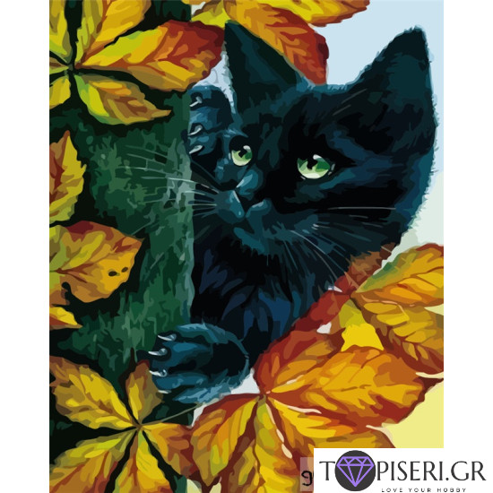 Painting By Numbers Black Cat For Good Luck - Tapiseri.GR