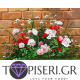 Painting By Numbers Roses By The Fence - Tapiseri.GR Painting By Numbers Roses By The Fence - Tapiseri.GR