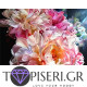 Painting By Numbers Peonies 5 - Tapiseri.GR