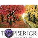 Painting By Numbers Autumn Trees - Tapiseri.GR