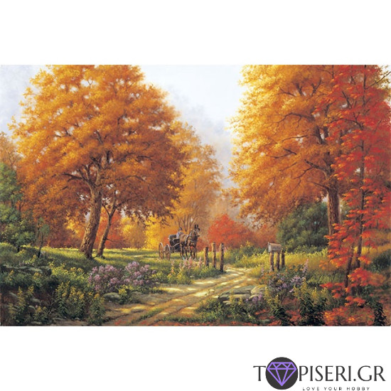 Painting By Numbers Carriage On The Path - Tapiseri.GR