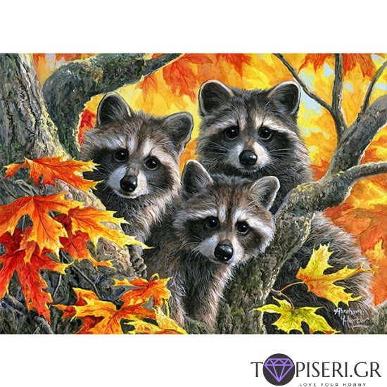 Painting By Numbers Raccoons - Tapiseri.GR