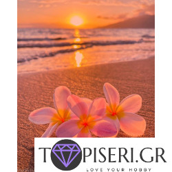 Painting By Numbers Flowers On A Beach At Sunset