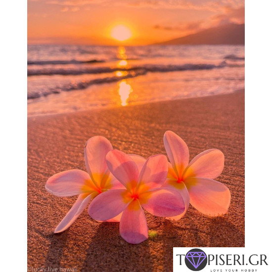 Painting By Numbers Flowers On A Beach At Sunset - Tapiseri.GR