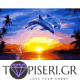 Painting By Numbers Dolphins On Sunset - Tapiseri.GR