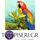 ECO Diamond Painting Parrot - Tapiseri.GR