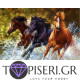 Diamond Painting Horses Running Wide - Tapiseri.GR