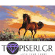 Painting By Numbers A Brown Stallion
A Brown Stallion - Tapiseri.GR