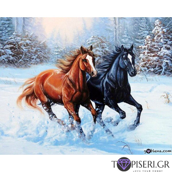 Diamond Painting Pair Of Horses - Tapiseri.GR