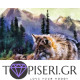 Painting By Numbers Beautiful Wolf - Tapiseri.GR