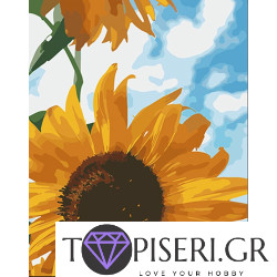 Painting By Numbers Sunflower Under A Blue Sky