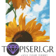 Painting By Numbers Sunflower Under A Blue Sky - Tapiseri.GR