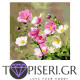 Painting By Numbers Polish Flowers - Tapiseri.GR