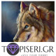 ECO Diamond Painting Beautiful Wolf - Tapiseri.GR