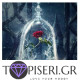 ECO Diamond Painting The Rose From Beauty And The Beast - Tapiseri.GR ECO Diamond Painting The Rose From Beauty And The Beast - Tapiseri.GR