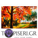 ECO Diamond Painting Colorful Autumn - Tapiseri.GR