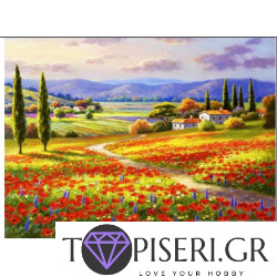 ECO Diamond Painting Poppy Fields