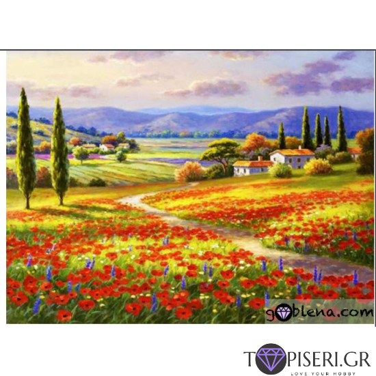 ECO Diamond Painting Poppy Fields - Tapiseri.GR