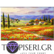ECO Diamond Painting Poppy Fields - Tapiseri.GR