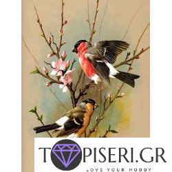 Diamond Painting Birds On A Branch 2