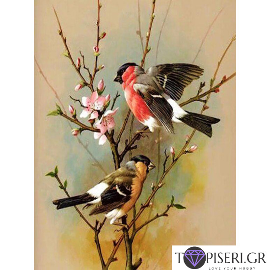 Diamond Painting Birds On A Branch 2 - Tapiseri.GR