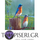 Diamond Painting Titties - Tapiseri.GR
