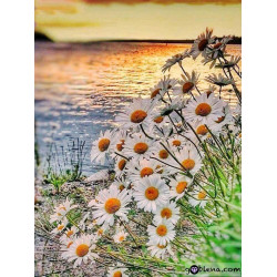 Διαμαντένιο ψηφιδωτό Μαργαρίτες δίπλα στη λίμνη