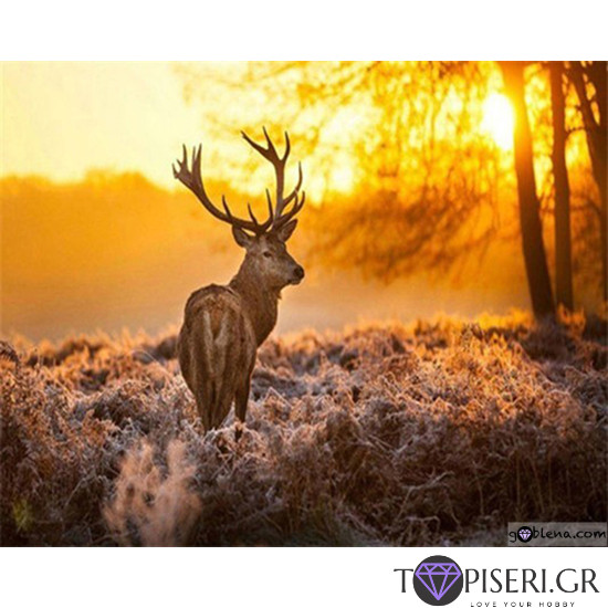 Diamond Painting Deer On A Gold Sunrise - Tapiseri.GR