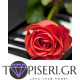 Painting By Numbers Rose On The Piano - Tapiseri.GR