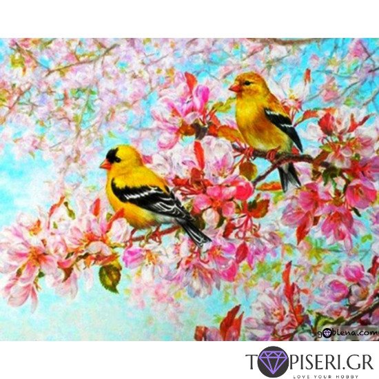 Diamond Painting Birds On A Blooming Branch - Tapiseri.GR Diamond Painting Birds On A Blooming Branch - Tapiseri.GR