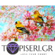 Diamond Painting Birds On A Blooming Branch - Tapiseri.GR Diamond Painting Birds On A Blooming Branch - Tapiseri.GR