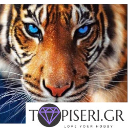 Premium Diamond Painting + Ab Tiger