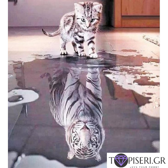 Premium Diamond Painting + Ab Kitty - Tapiseri.GR
