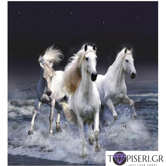 Premium Diamond Painting + Ab White Horses - Tapiseri.GR