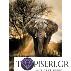 Premium Diamond Painting + Ab Elephant