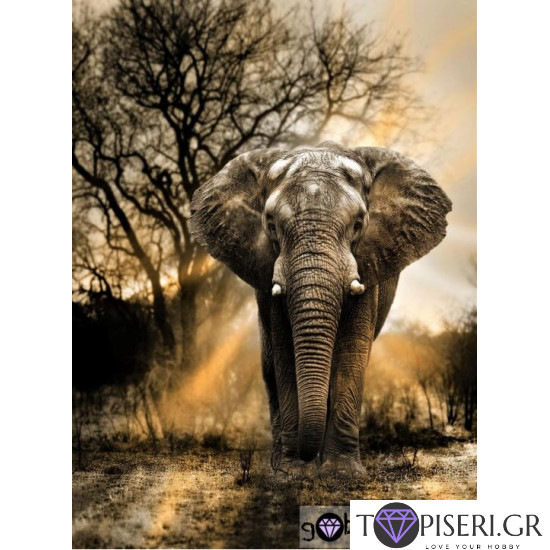 Premium Diamond Painting + Ab Elephant - Tapiseri.GR