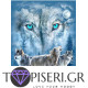 Premium Diamond Painting + Ab White Wolfs - Tapiseri.GR