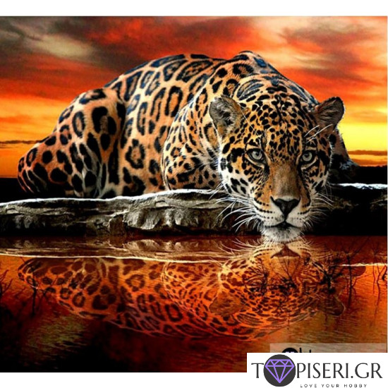 Premium Diamond Painting + Ab Cheetah - Tapiseri.GR