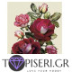 Crystal Diamond Painting Roses - Tapiseri.GR Crystal Diamond Painting Roses - Tapiseri.GR