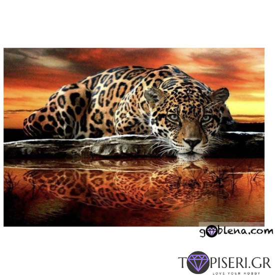Crystal Diamond Painting Cheetah - Tapiseri.GR Crystal Diamond Painting Cheetah - Tapiseri.GR