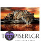 Crystal Diamond Painting Cheetah - Tapiseri.GR Crystal Diamond Painting Cheetah - Tapiseri.GR