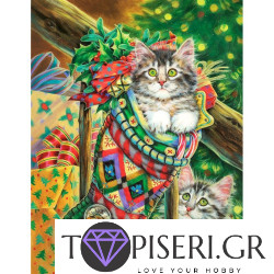 Painting By Numbers A Cat In А Christmas Sock