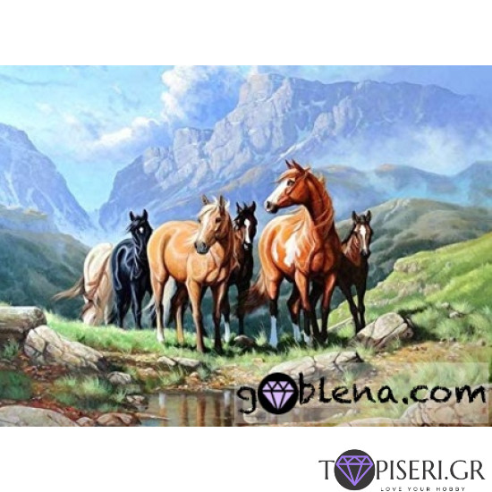 Diamond Painting Wild Horses In The Mountain - Tapiseri.GR