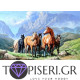 Diamond Painting Wild Horses In The Mountain - Tapiseri.GR