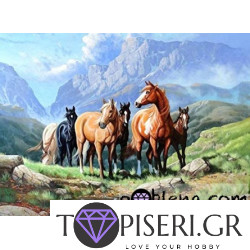 Διαμαντένιο ψηφιδωτό Άγρια άλογα στα βουνά
