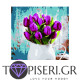 Painting By Numbers Tulips In White Vase - Tapiseri.GR Painting By Numbers Tulips In White Vase - Tapiseri.GR