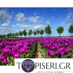 Painting By Numbers Fields Of Tulips